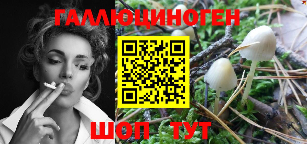 Галлюциногенные грибы Magic Shrooms Александров