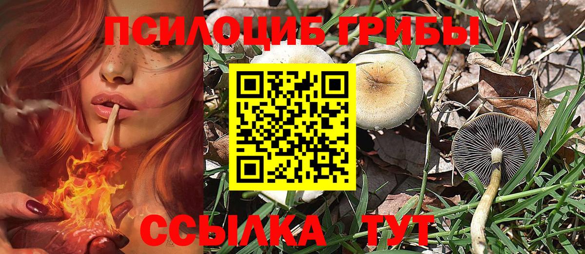 Александров  купить  сайты  Вход с VPN  Псилоцибиновые грибы MAGIC MUSHROOMS 